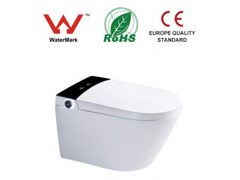 Wall-mounted Toilet